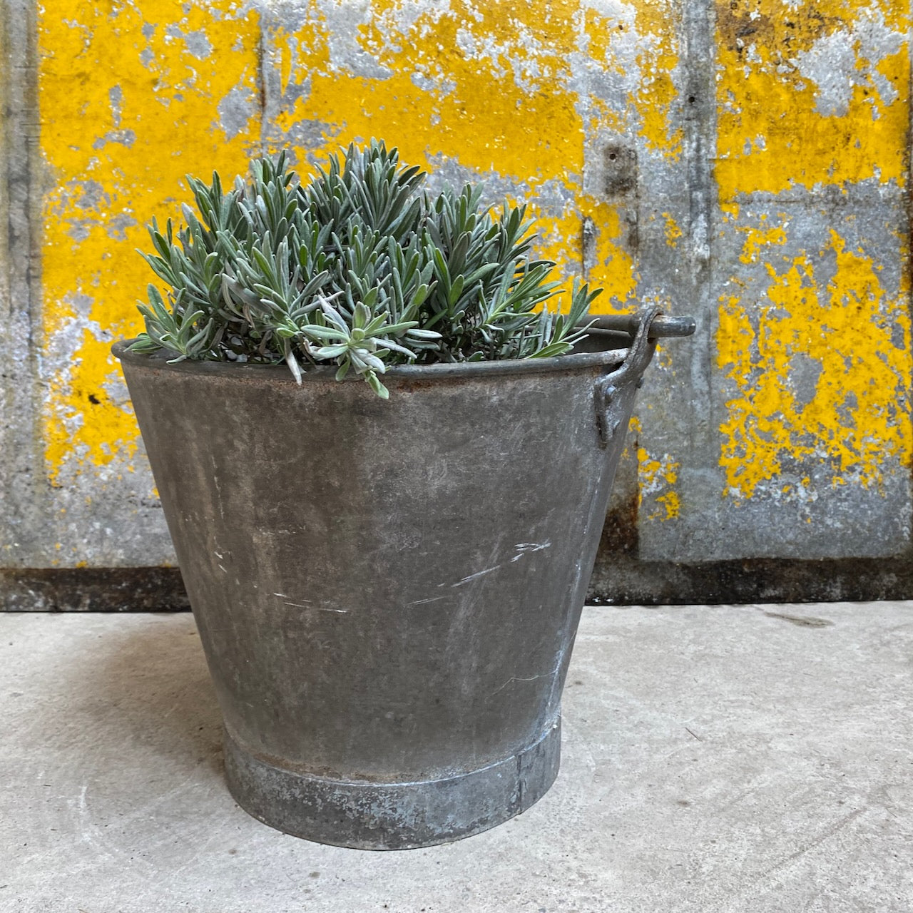 Vintage galvaniseret spand Hot på udsalg - Image 2