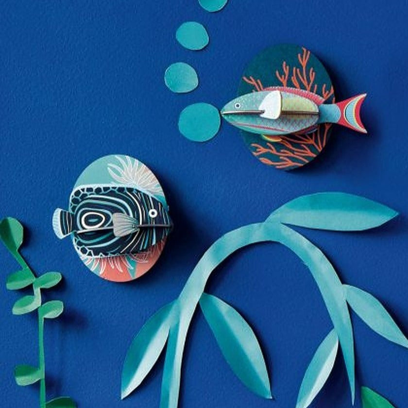 Studio Tag 3D Model Wall Decor - Kejser Angelfish - Image 3