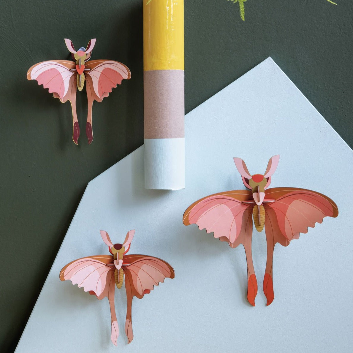 Studio tag 3D Model Wall Decor - Sæt med 3 Comet Butterflies - Image 2