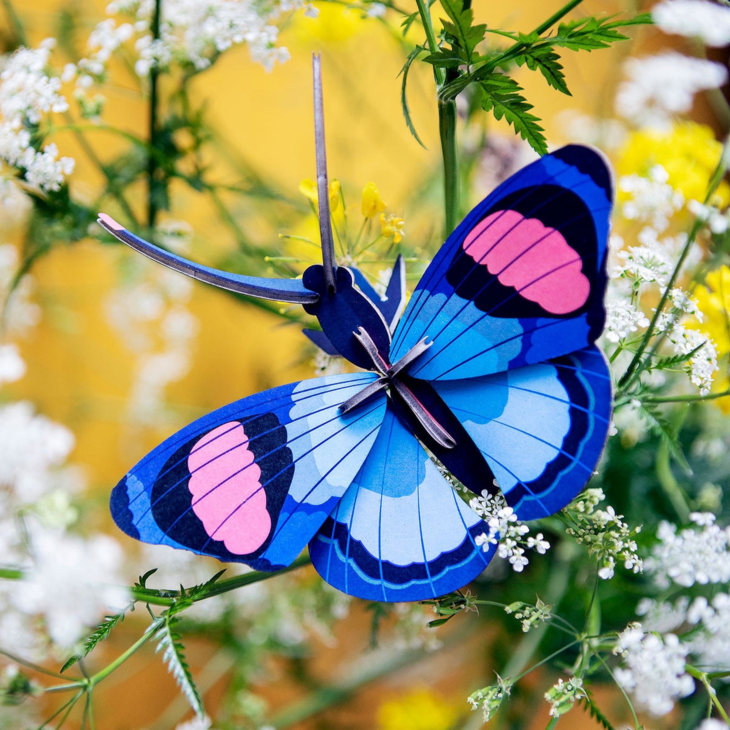 Studio tag 3D Model Wall Decor - Peacock Butterfly Levere - Image 3